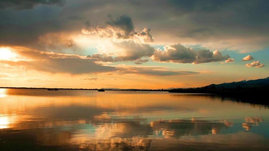 In battello al tramonto sul lago di Massaciuccoli con le guide della Lipu
