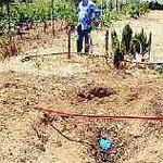 Settimo, indagata la suocera-amante