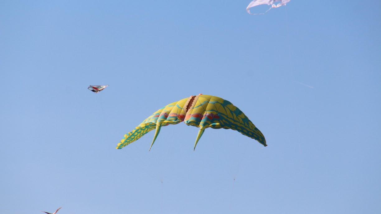Semplici, coloratissimi e capaci di far sognare. È festa con gli aquiloni