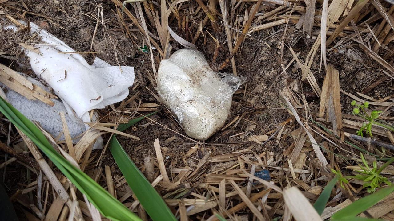 La cocaina rinvenuta nel terreno