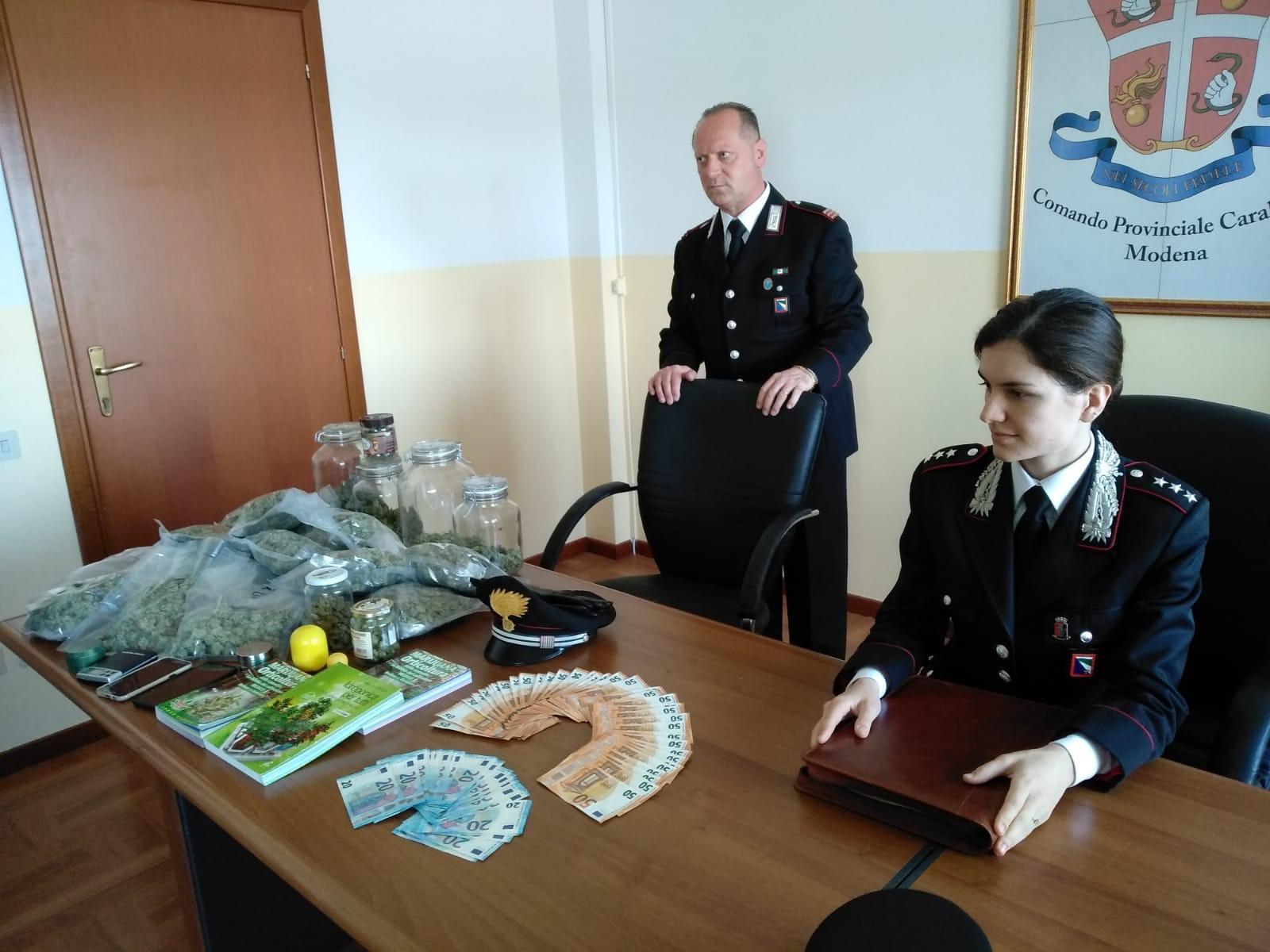 Zocca, scoperti con 154 piante di marijuana in mansarda 