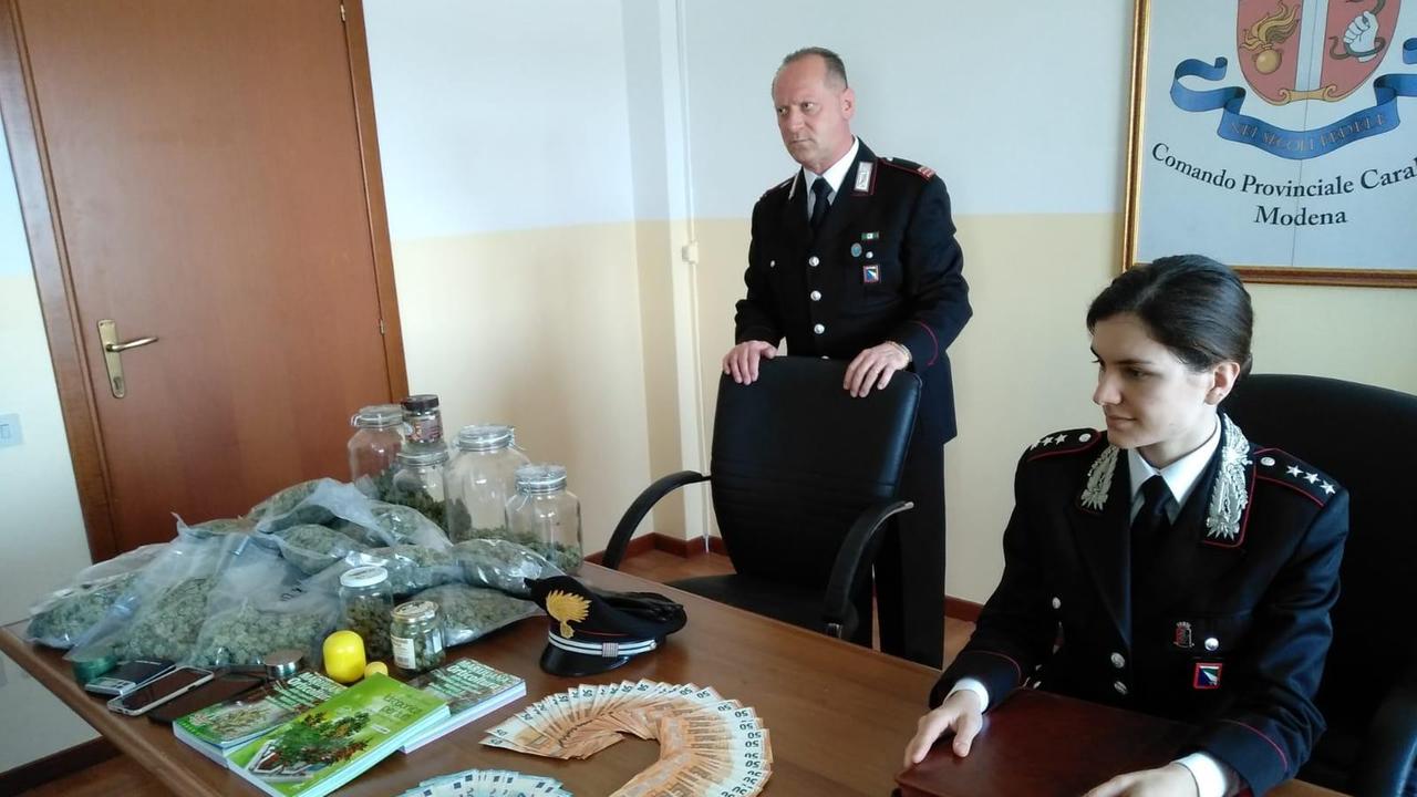Zocca, scoperti con 154 piante di marijuana in mansarda