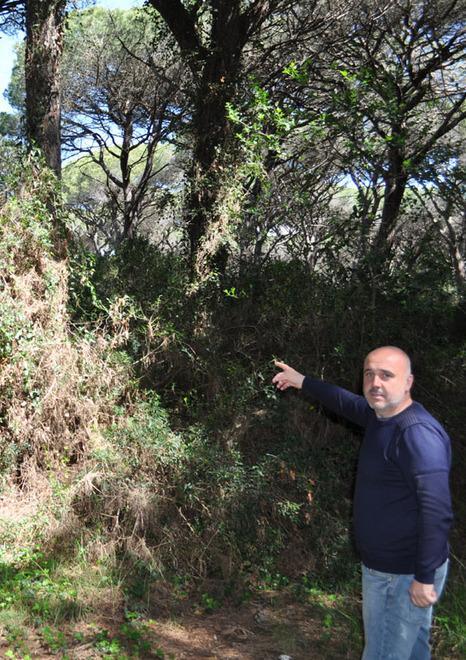 Pinete, senza interventi «si rischiano i disastri»