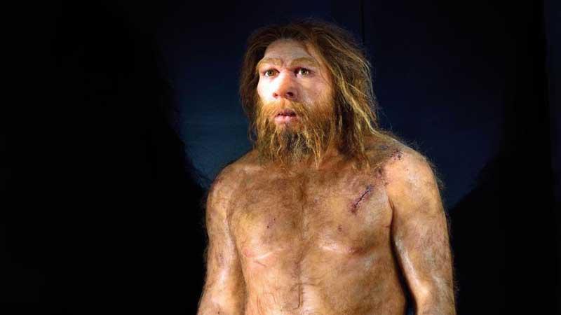 Una tempesta perfetta di raggi ultravioletti: così si è estinto l’uomo di Neanderthal 