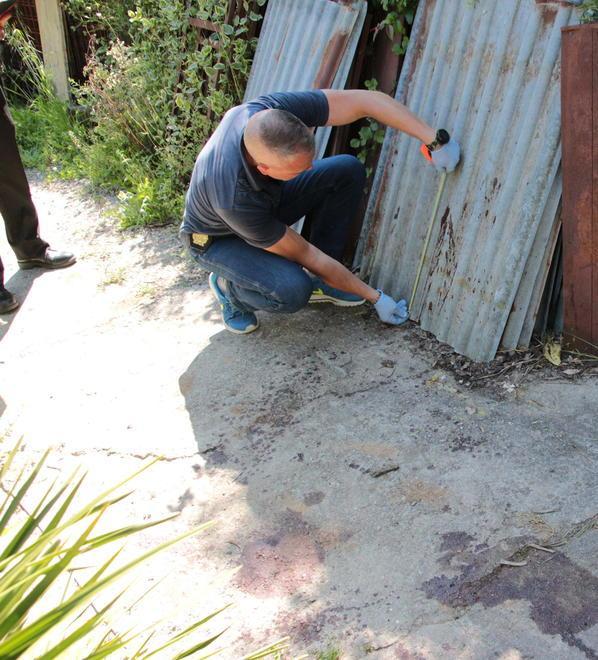 Colpito con una falce davanti a casa, gravissimo cinquantenne di Camaiore 