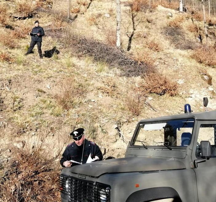 Taglio abusivo di un bosco e lavoro nero: maxi multa