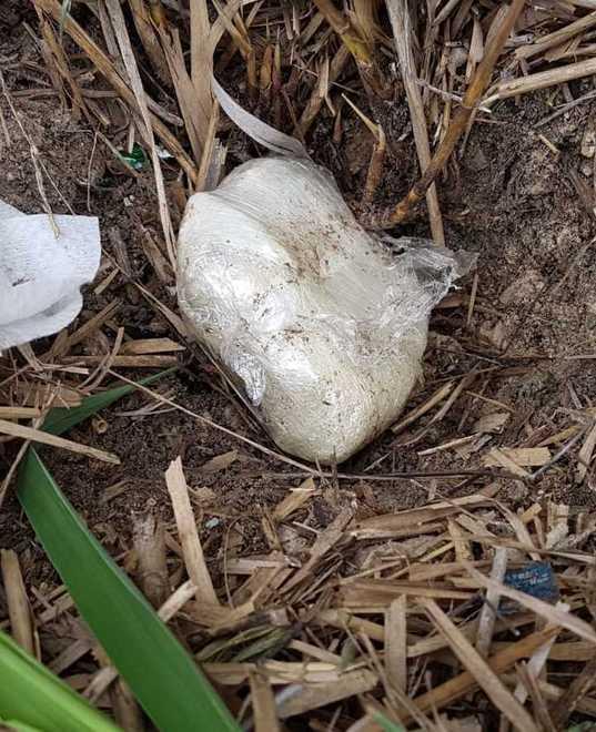 Cocaina nascosta in un terreno avrebbe fruttato 160mila euro 