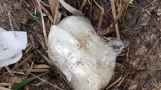 Cocaina nascosta in un terreno avrebbe fruttato 160mila euro