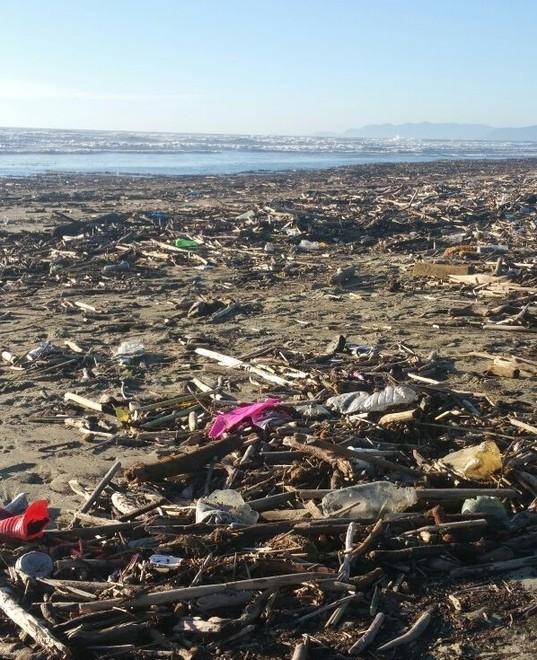 Pescatori e spazzini del mare riciclabili i rifiuti finiti nelle reti 
