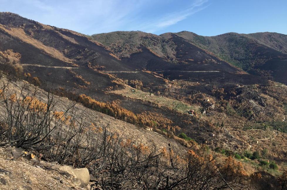 Un’immagine del Monte Pisano dopo il rogo del settembre scorso (foto Muzzi)