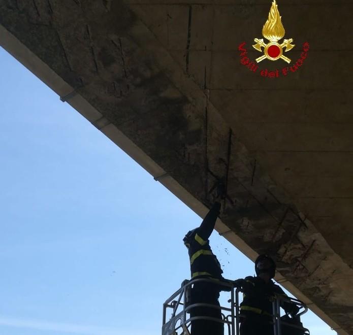 Cemento si scrosta dal ponte Sopralluogo dei vigili del fuoco