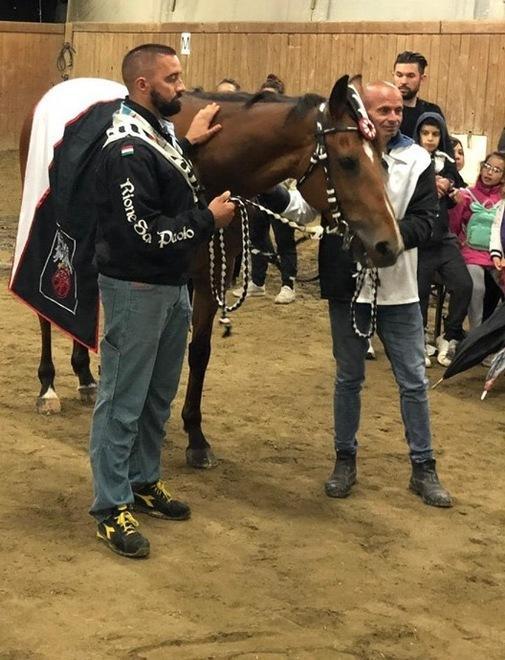 Il fantino Adrian Topalli cerca gloria a Ferrara col cavallo fucecchiese