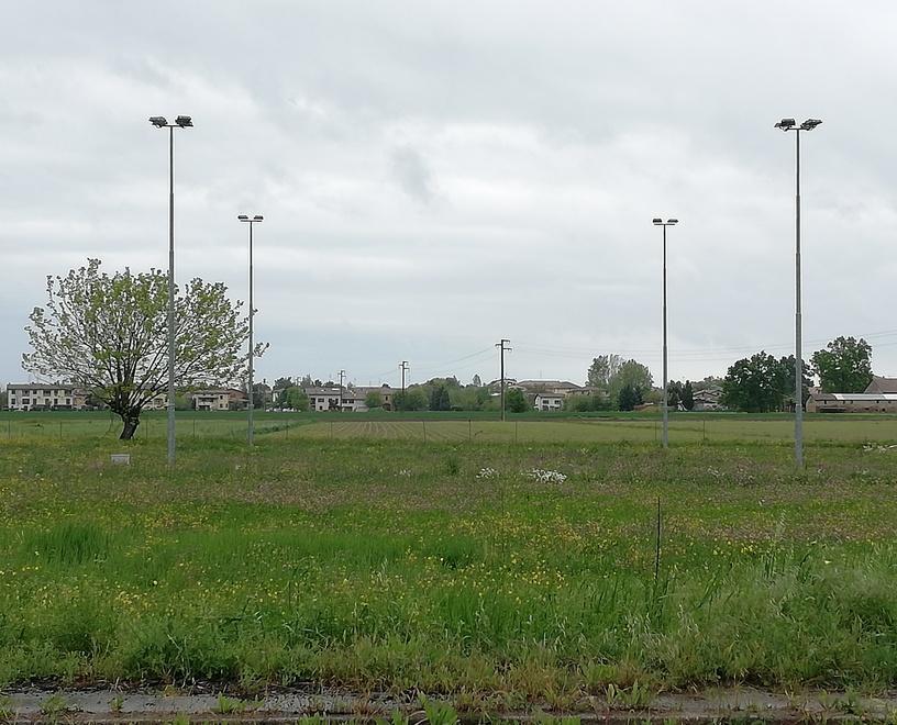«A cosa servono i potenti fari che illuminano erba incolta?» 