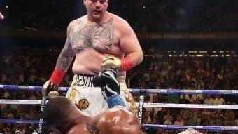 Se anche gli obesi diventano superstar