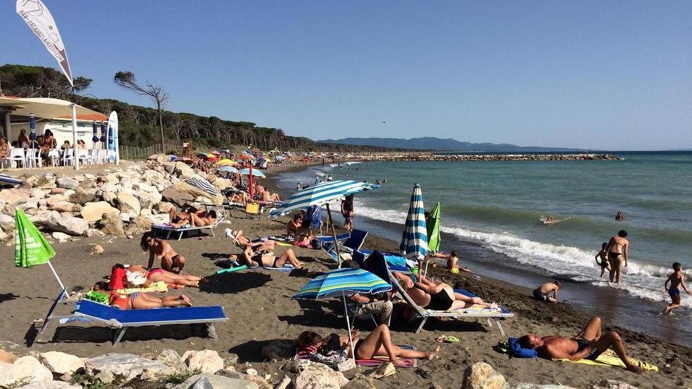 Tintarella, vietato prendere il sole lungo "i pennelli". Gli animali? Solo nelle bau beach