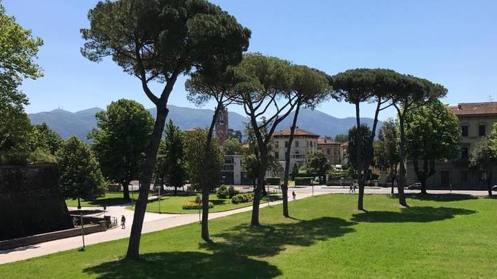 Mega palco sugli spalti, fumata grigia: oggi si delimita l’area