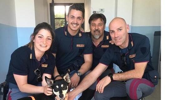 La cagnolina Mia torna a casa, graziealla stradale e facebook