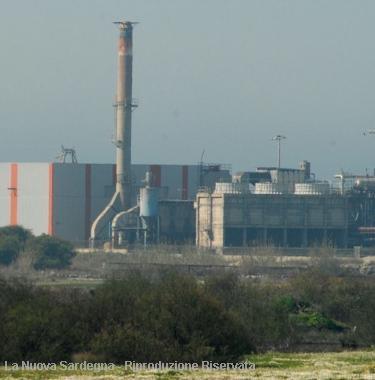 Lo stabilimento della Cwf Italia        