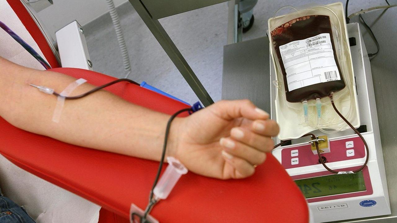L’emergenza sangue torna dopo il boom delle donazioni