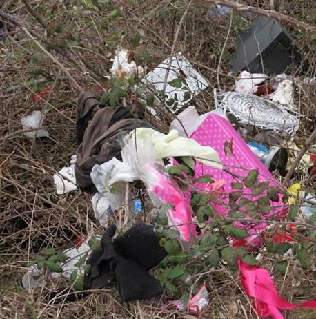 Nuove discariche abusive sul Montalbano scoperte da Legambiente