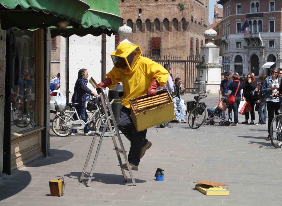 Per gli sciami di api oltre 20 interventi di vigili e apicoltori 