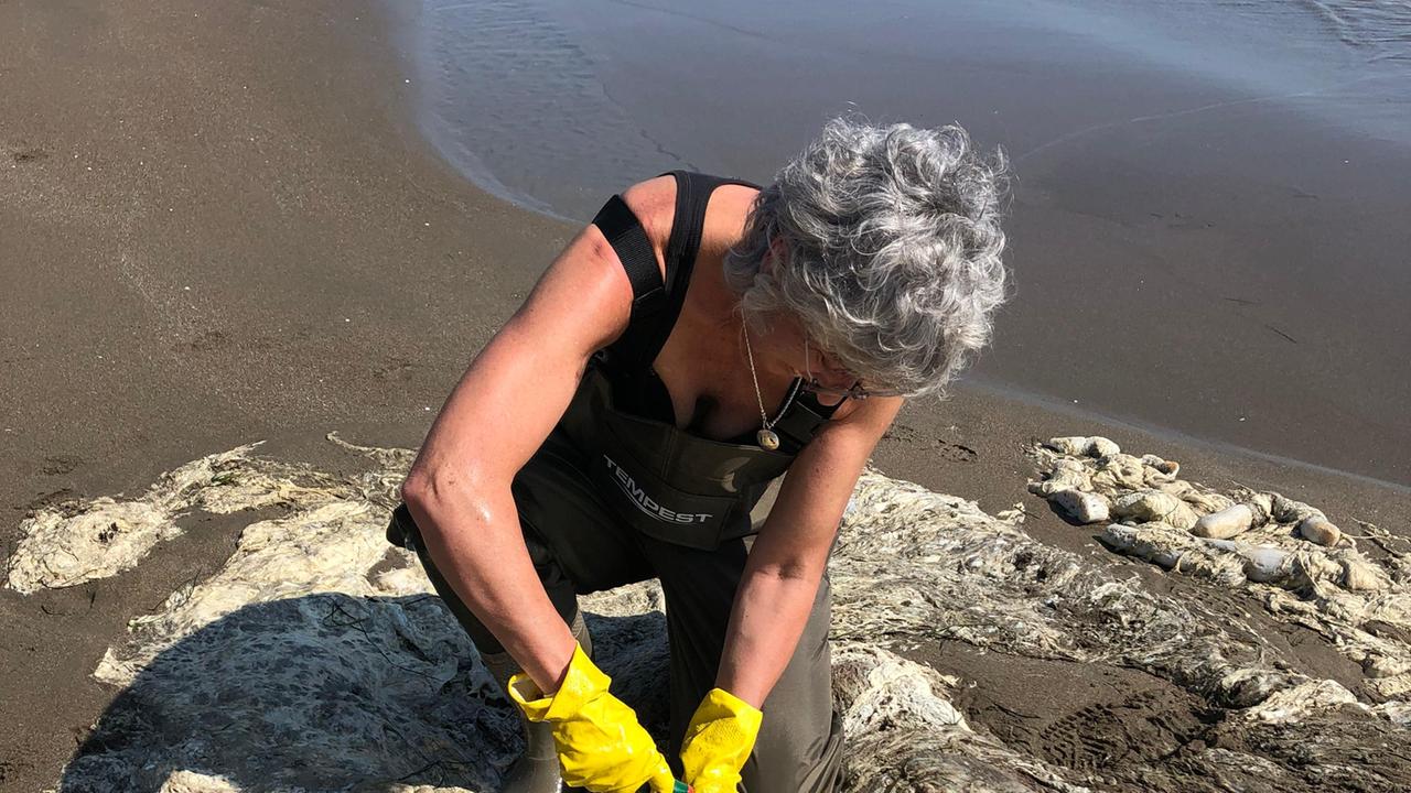 La carcassa del capodoglio ricompare sulla spiaggia