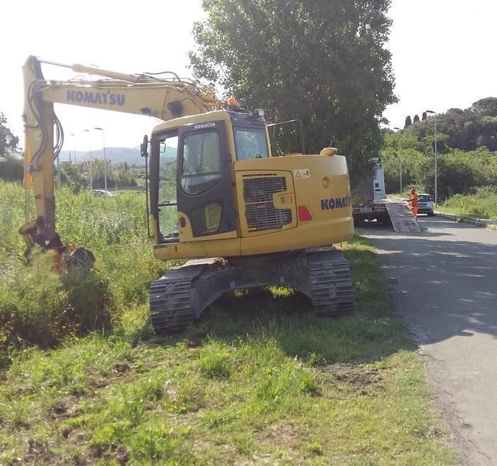Via Grotta delle Fate, ruspe al lavoro per disboscare: Rfi va avanti con il cantiere 