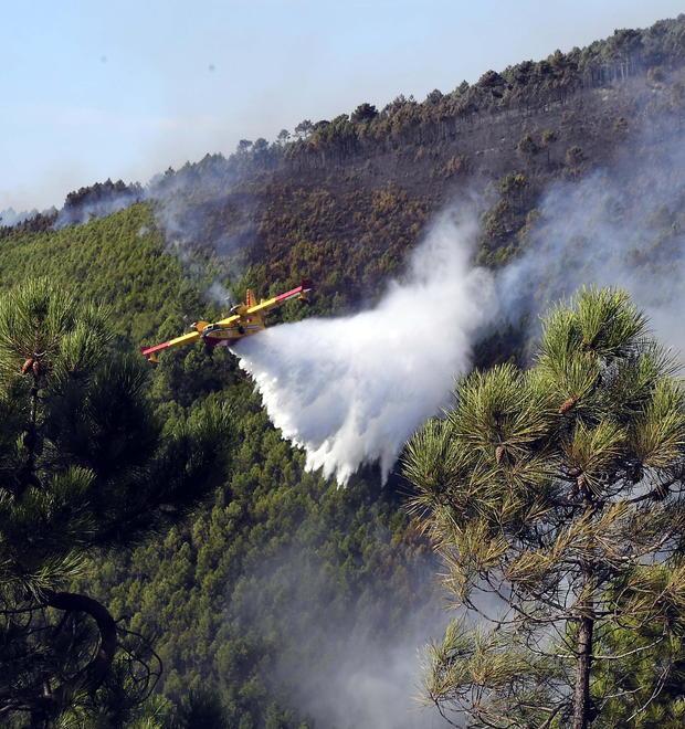 Arriva la mappa dei boschi incendiati Si aggiorna il catasto 