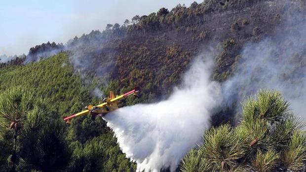 Arriva la mappa dei boschi incendiati Si aggiorna il catasto