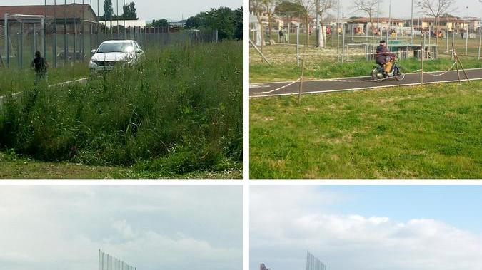 Pista ciclabile invasa da auto e scooter sarà uno dei primi guai della giunta