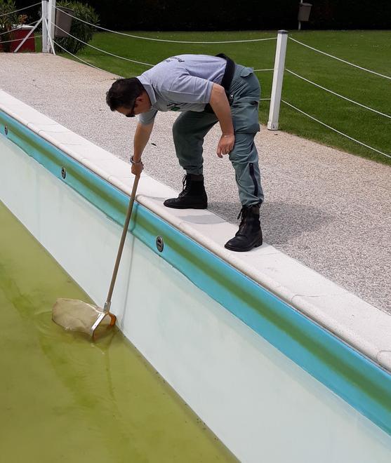 Rane e rospi smeraldini recuperati nella piscina