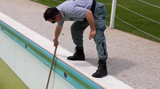 Rane e rospi smeraldini recuperati nella piscina