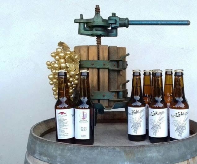 Benvenuto Vermentino Oltre cento etichette in mostra a Castelnuovo 