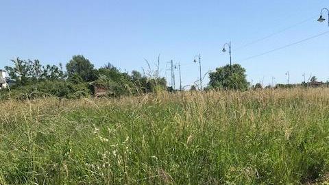 Erba alta e degrado all’ex Pio Campana