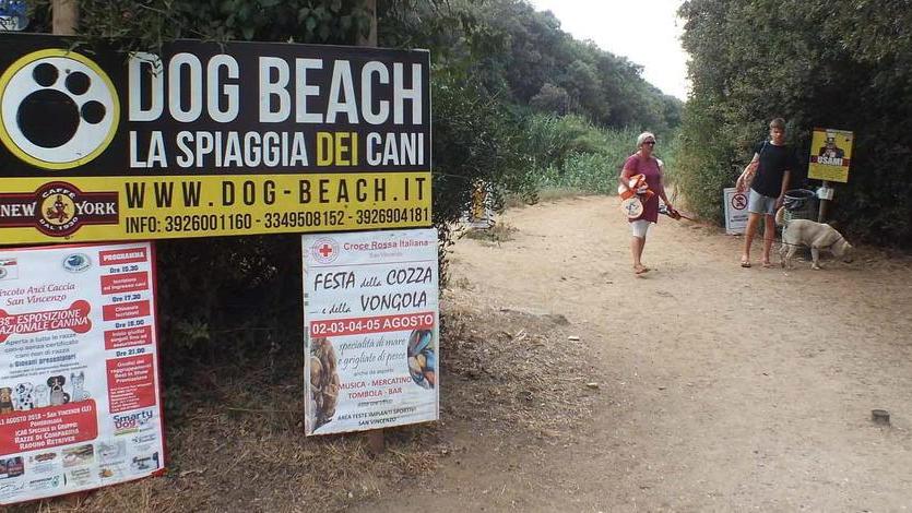 Spiaggia Dog beach slitta la gestione la gara si complica