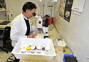 Un laboratorio di analisi