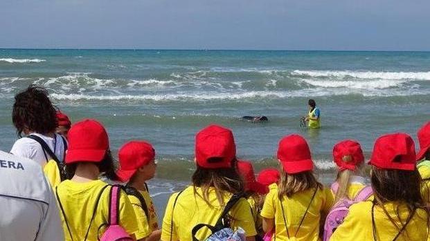 «Babbo, ti salvo io» I bambini a lezione di salvataggio in mare