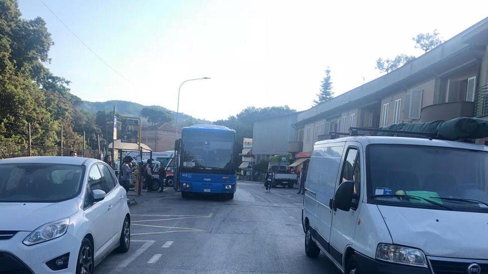 Studentessa investita da un furgone mentre attraversa la strada
