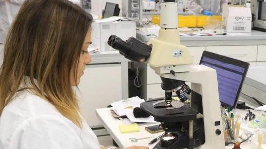 Massa-Carrara, rischio leucemia tra i 20 e i 29 anni. E 314 malformazioni alla nascita in 13 anni