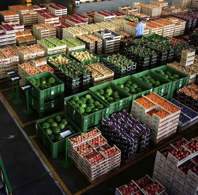 Un export agroalimentare da oltre sei miliardi di euro 