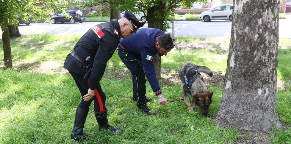 Ingoia ovuli di eroina davanti ai carabinieri Arrestato e condannato 