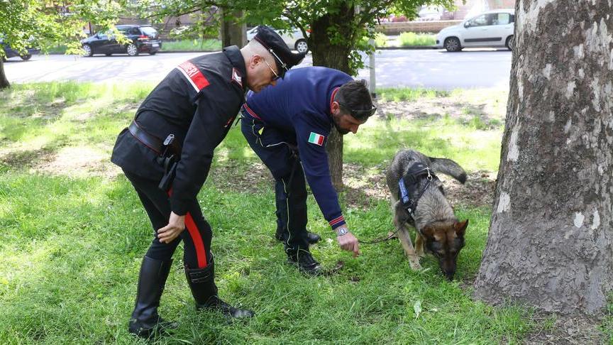 Ingoia ovuli di eroina davanti ai carabinieri Arrestato e condannato