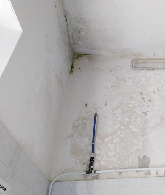 «Pessimo spettacolo nei bagni della stazione»