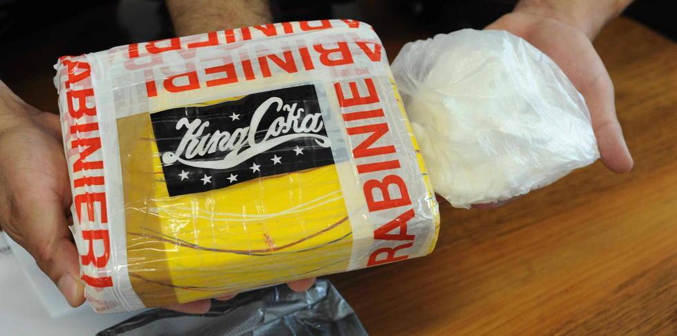 Cocaina sepolta in mezzo agli alberi Due in manette 