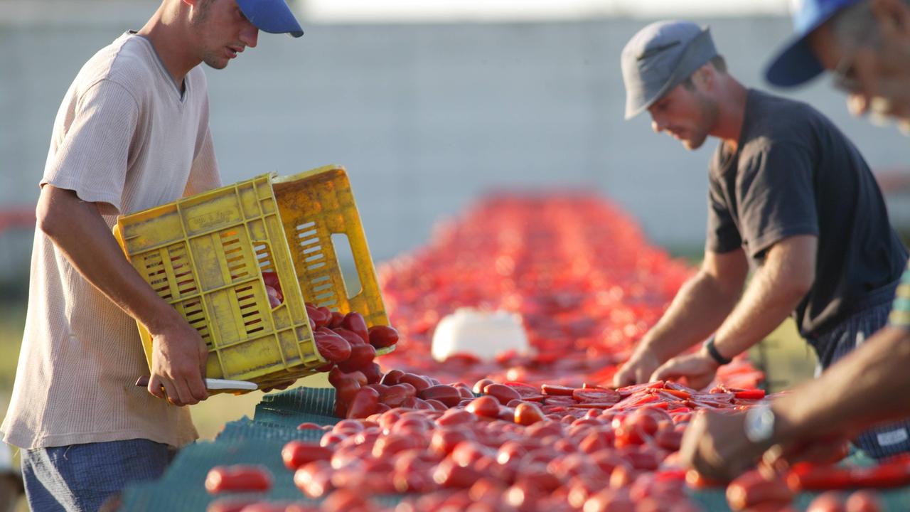 Agricoltura: 4,8 milioni di investimenti per il rilancio delle produzioni