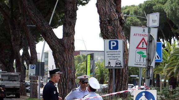 Rabbia dei residenti per il taglio dei pini intervengono i Carabinieri forestali