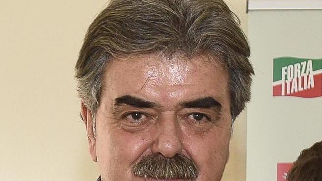 Pino caduto al Versilia Forza Italia: l’area va messa in sicurezza