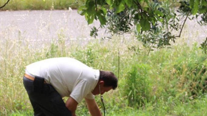 Daino ferito in un campo Mobilitazione per salvarlo