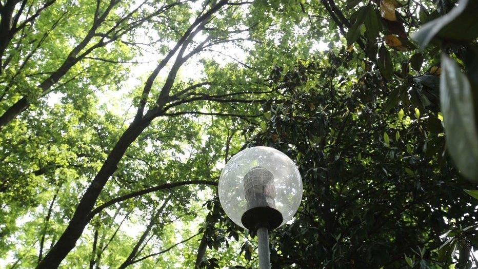 Erba alta e lampioni spenti parco Samoggia off limits