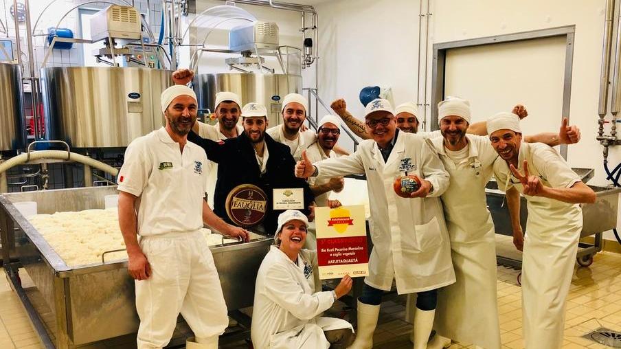 Il formaggio Busti vola e il caseificio assume 15 persone